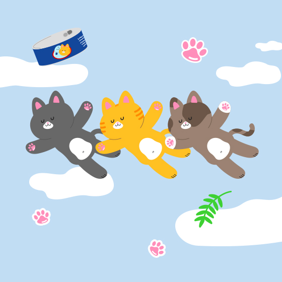 배너
