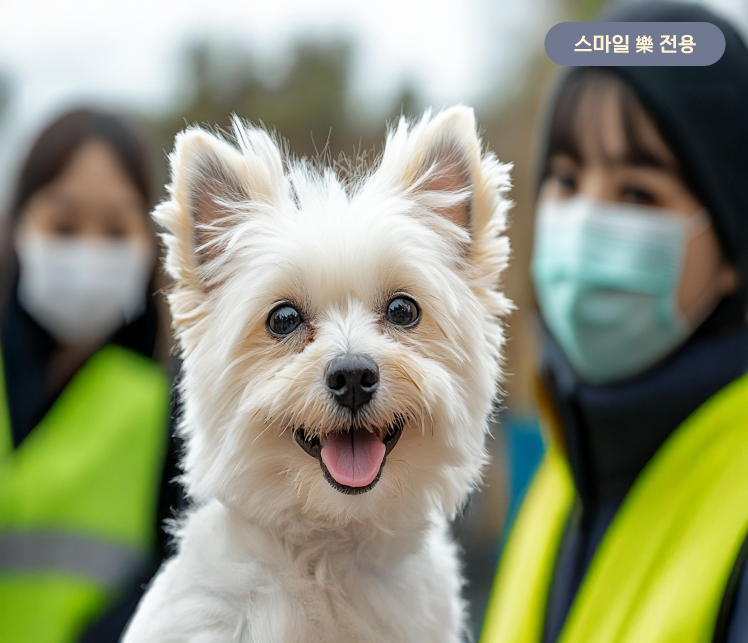 콘텐츠 상세 배경