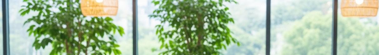 콘텐츠 상세 배경