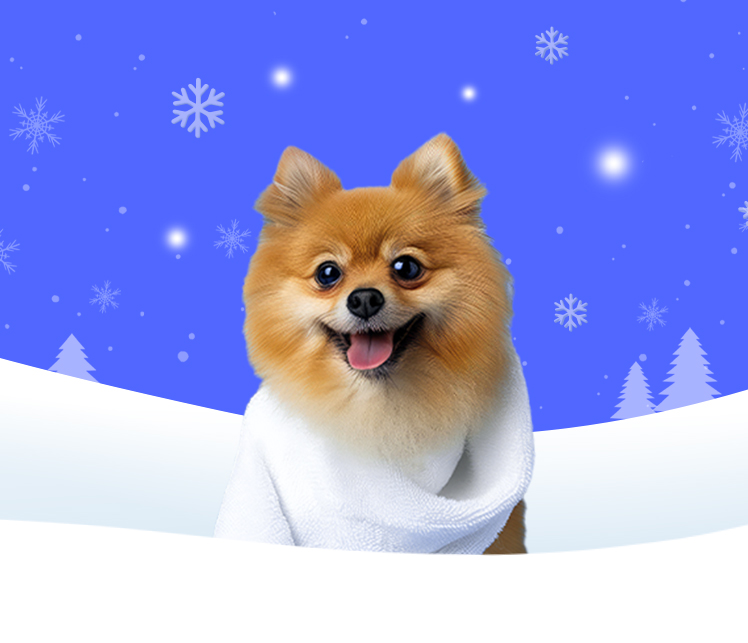 콘텐츠 상세 배경