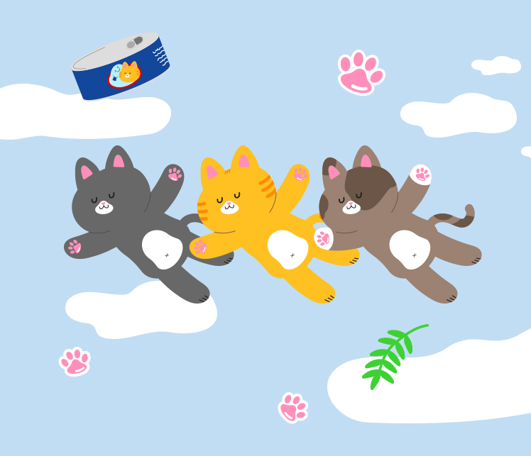 콘텐츠 상세 배경